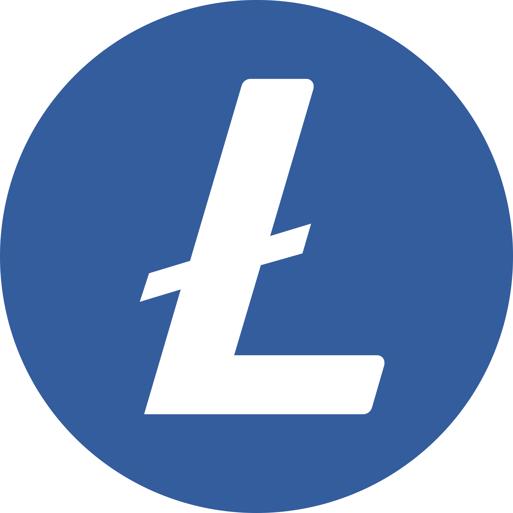 Litecoin LTC Logo | The Giving Block