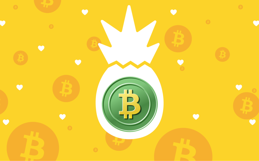 The Pineapple Fund Donated $55,000,000 in Nonprofit Bitcoin Grants. Here’s What Happened: