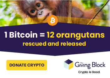 Coindesk Ad - 1 Bitcoin is 12 Orangutans Rescued