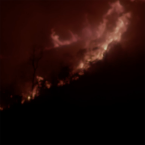 Ecosophy //01: 'Singularity'