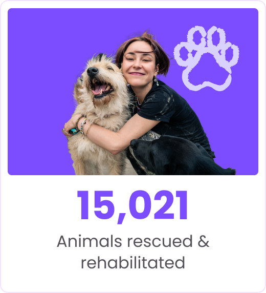 Animals rescued & rehabilitated - Crypto For Good