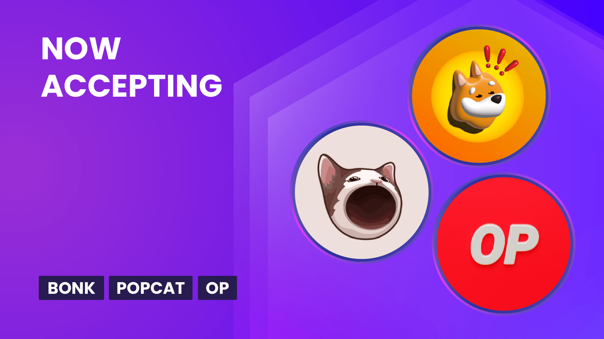 Now accepting Bonk Popcat, and Optimism | The Giving Block