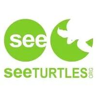 See Turtles Logo