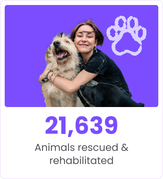 Animals rescued & rehabilitated - Crypto For Good