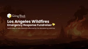 Los Angeles Wildfires Emergency Response Fundraiser