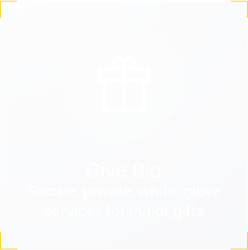 Give Big